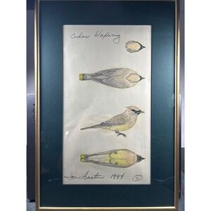 Jon Austin Cedar Waxwing Original Bird Drawing 1994 Signed Framed Art 12x18